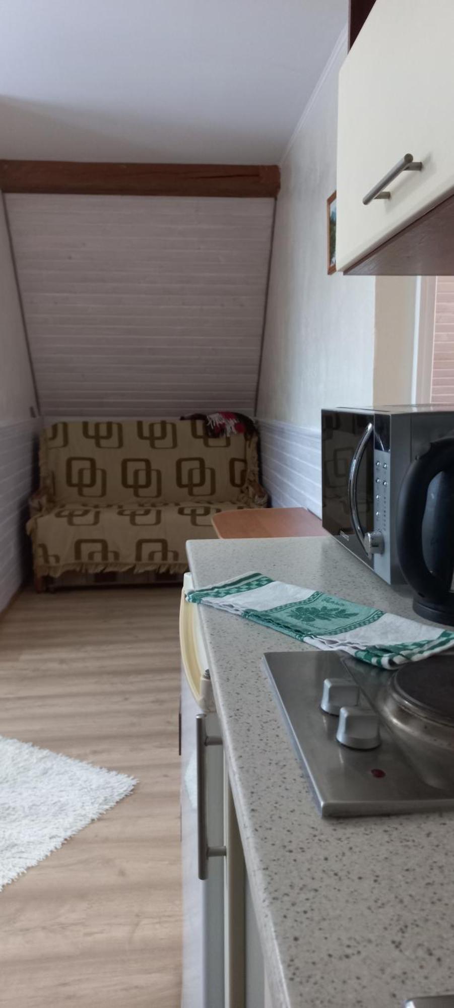 Zelena Sadyba Bila Stavka Яремче Екстериор снимка