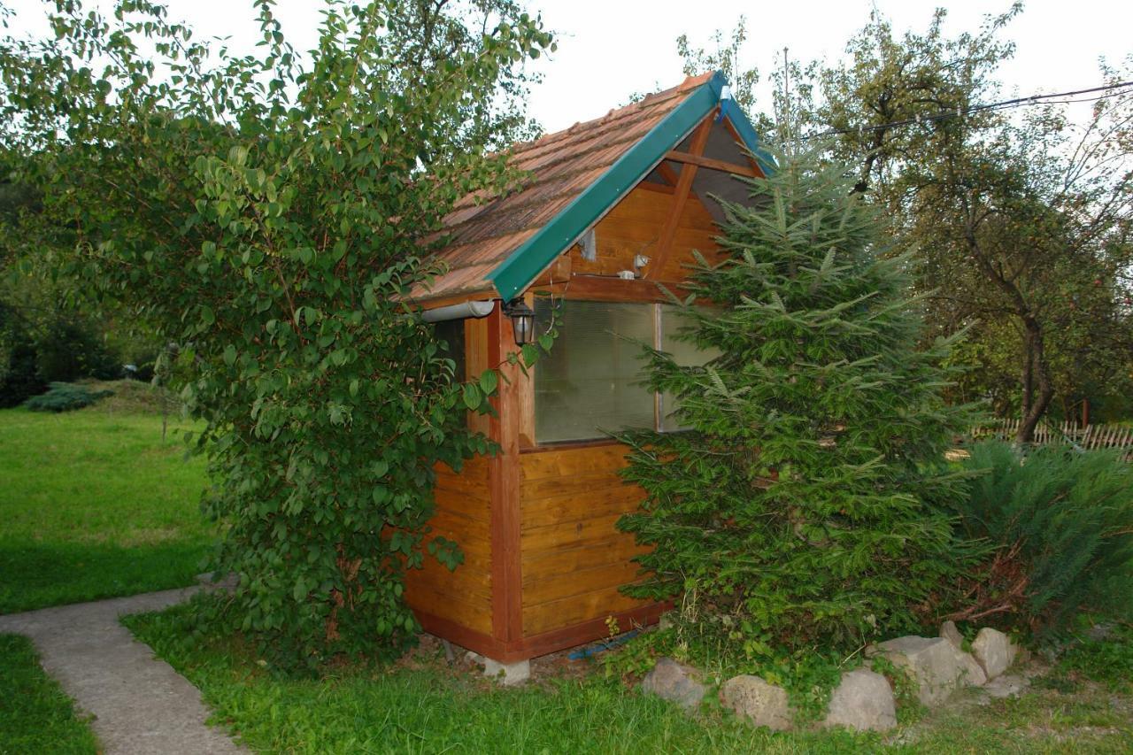 Zelena Sadyba Bila Stavka Яремче Екстериор снимка